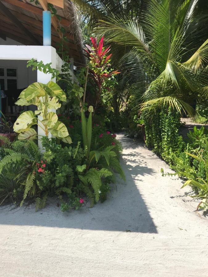 Malas Island View Fulidhoo Exterior photo