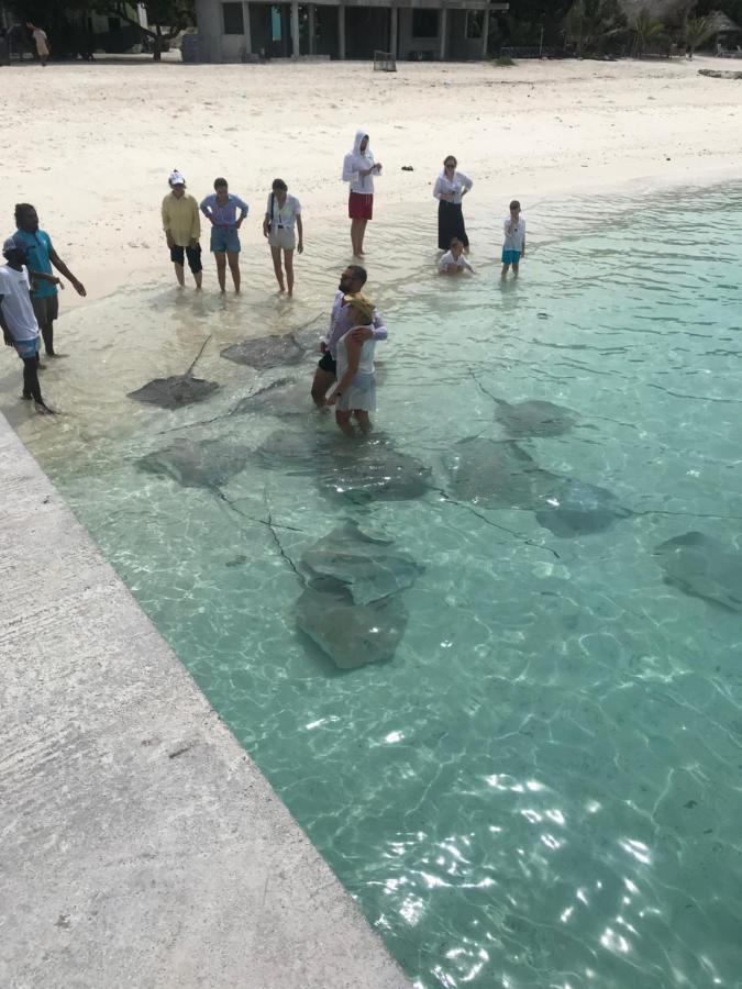 Malas Island View Fulidhoo Exterior photo