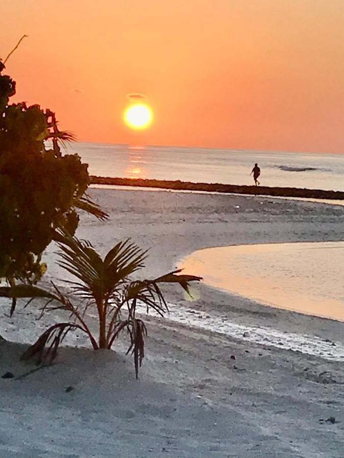 Malas Island View Fulidhoo Exterior photo