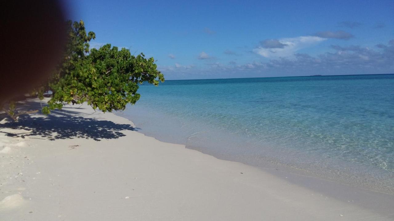 Malas Island View Fulidhoo Exterior photo